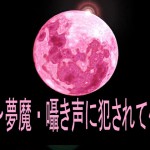 コボラ・カンパニーさん：「～夢魔・囁き声に犯されて～」